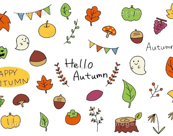 スタッフ杏の日記：短い秋を大満喫！